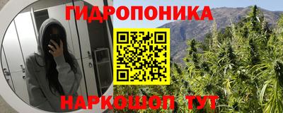 ешки Ставрополь
