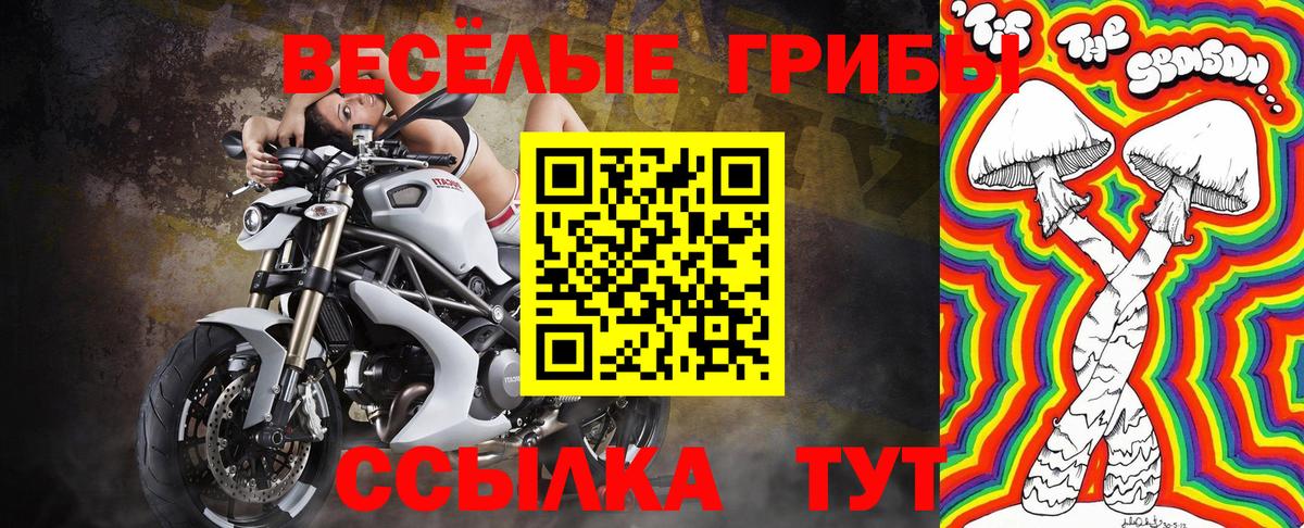 Новошахтинск  что такое   Вход с VPN  Галлюциногенные грибы Cubensis 