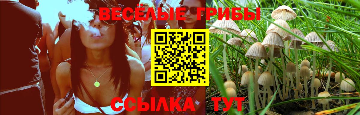 Галлюциногенные грибы Magic Shrooms Новошахтинск